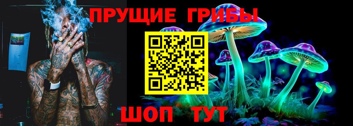 Севастополь  Псилоцибиновые грибы ЛСД  Вход с VPN 